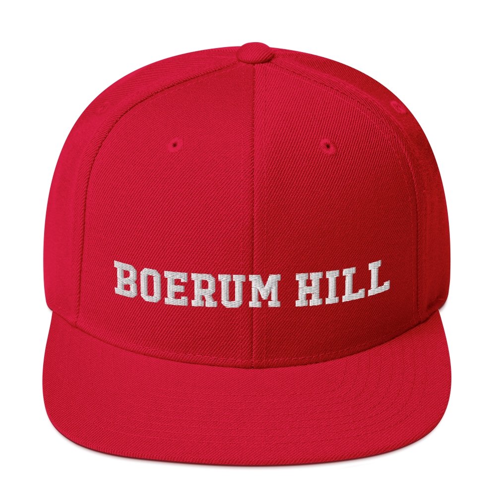 Boerum Hill Snapback Hat - Vivant Garde