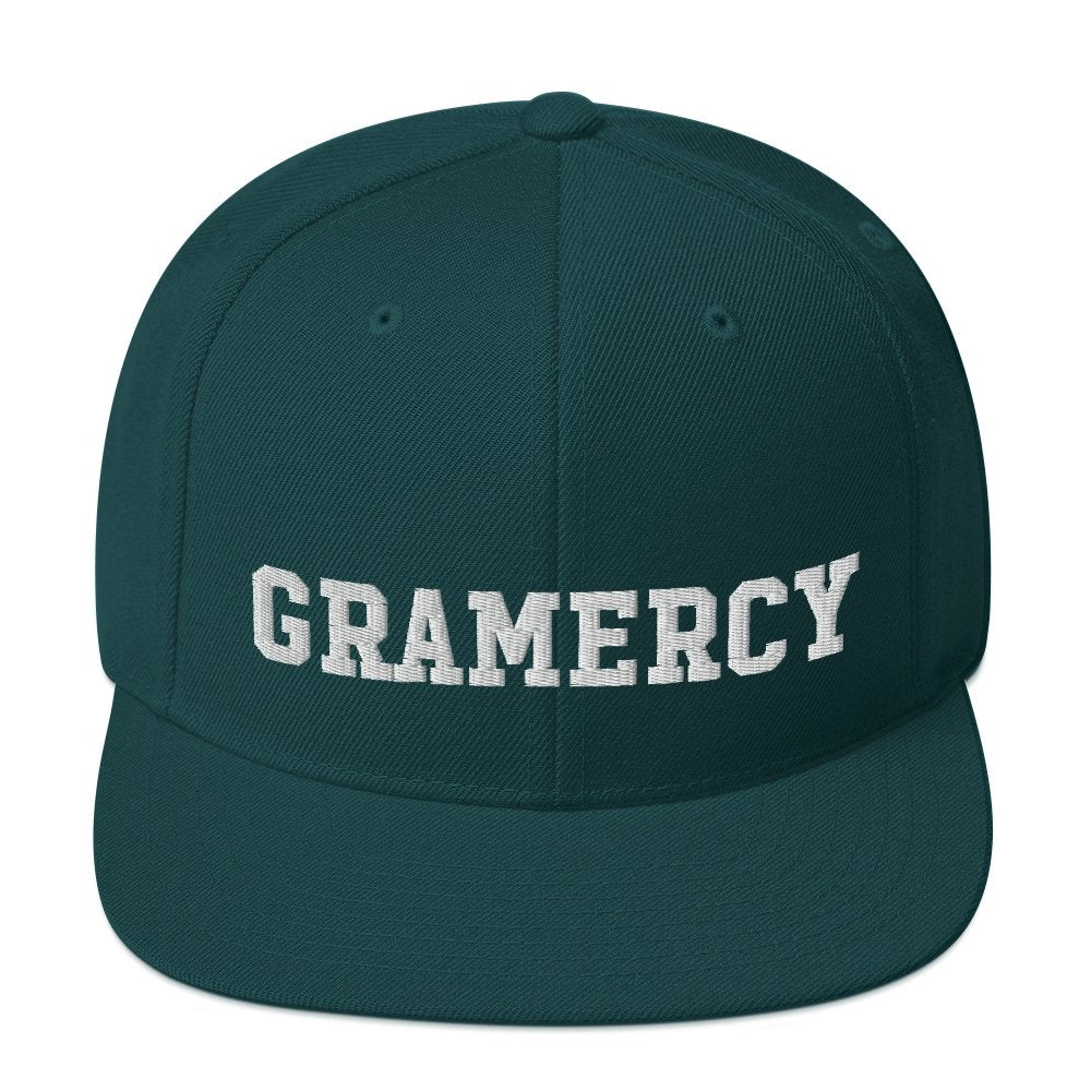 Gramercy Snapback Hat - Vivant Garde