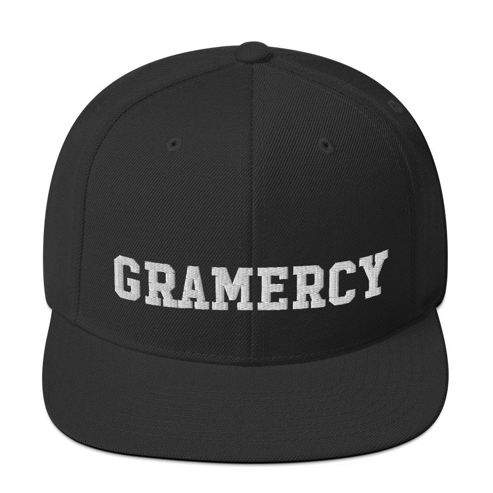 Gramercy Snapback Hat - Vivant Garde