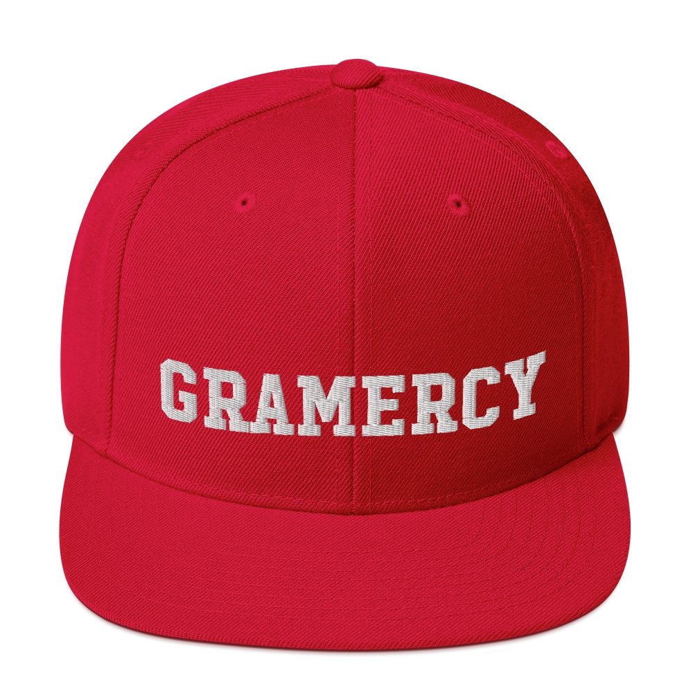 Gramercy Snapback Hat - Vivant Garde