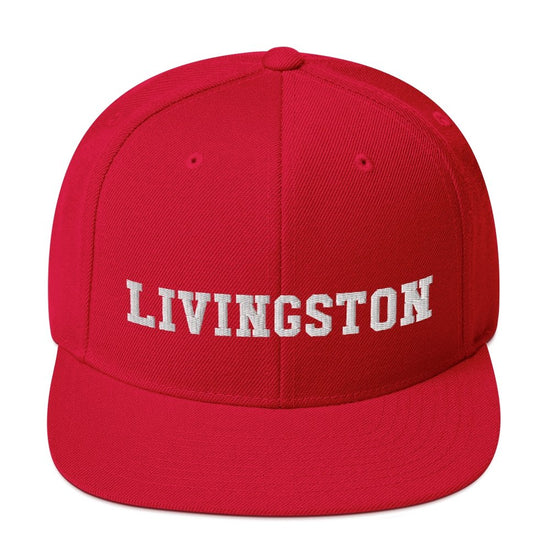 Livingston Snapback Hat - Vivant Garde