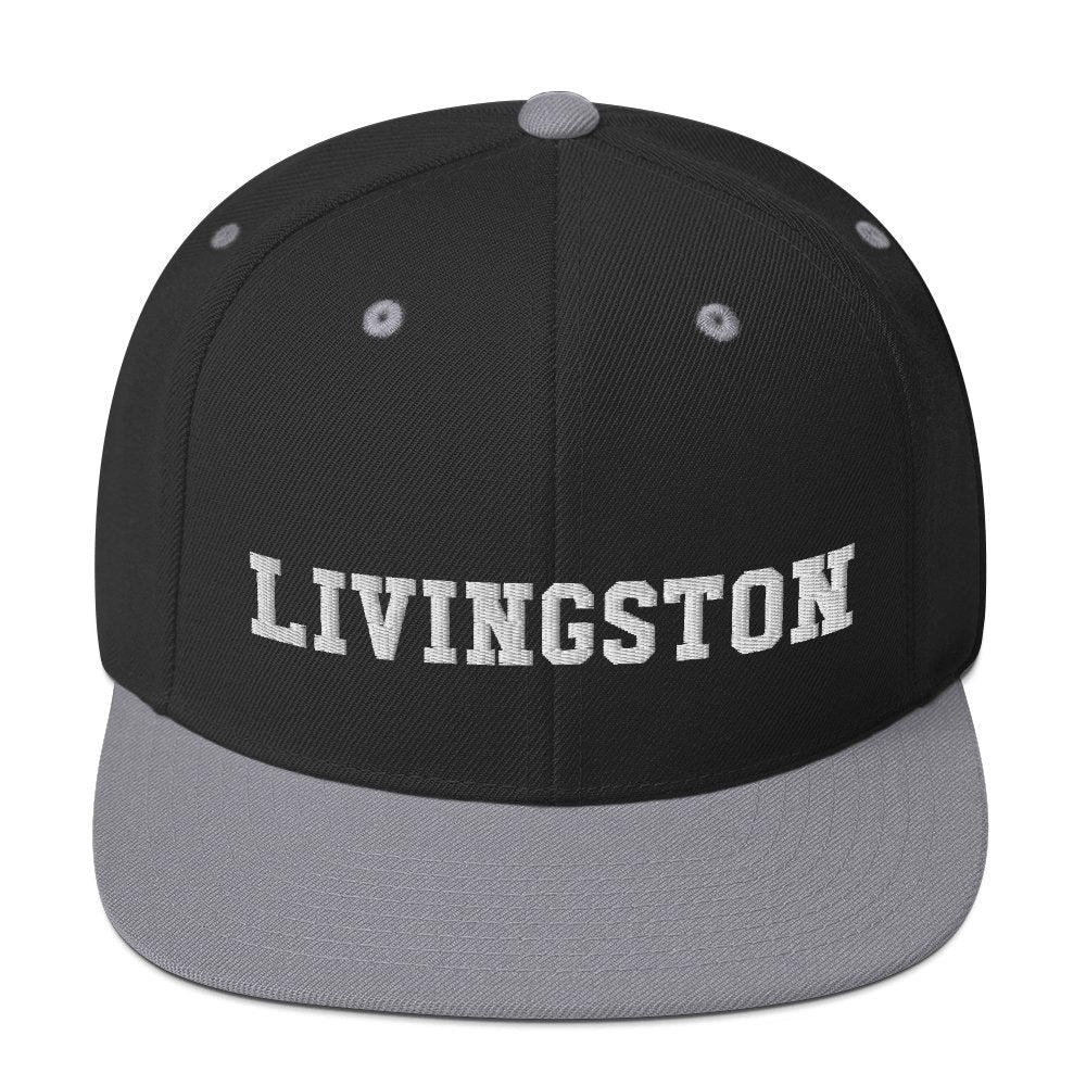 Livingston Snapback Hat - Vivant Garde