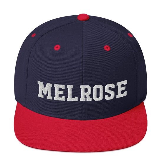 Melrose Snapback Hat - Vivant Garde