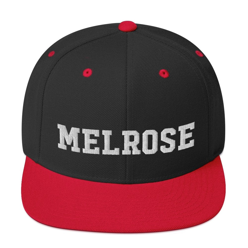 Melrose Snapback Hat - Vivant Garde