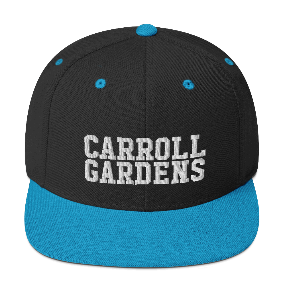 Carroll Gardens Snapback Hat-Vivant Garde