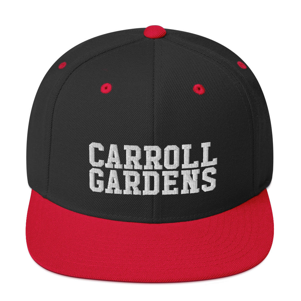 Carroll Gardens Snapback Hat-Vivant Garde