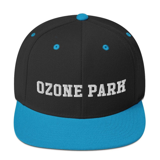 Ozone Park Snapback Hat - Vivant Garde
