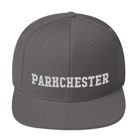 Parkchester Snapback Hat - Vivant Garde