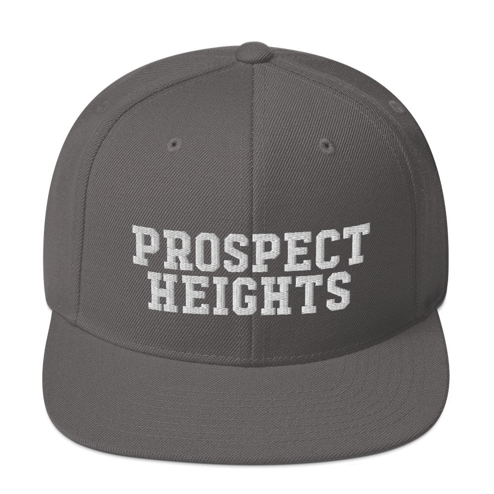 Prospect Heights Snapback Hat - Vivant Garde