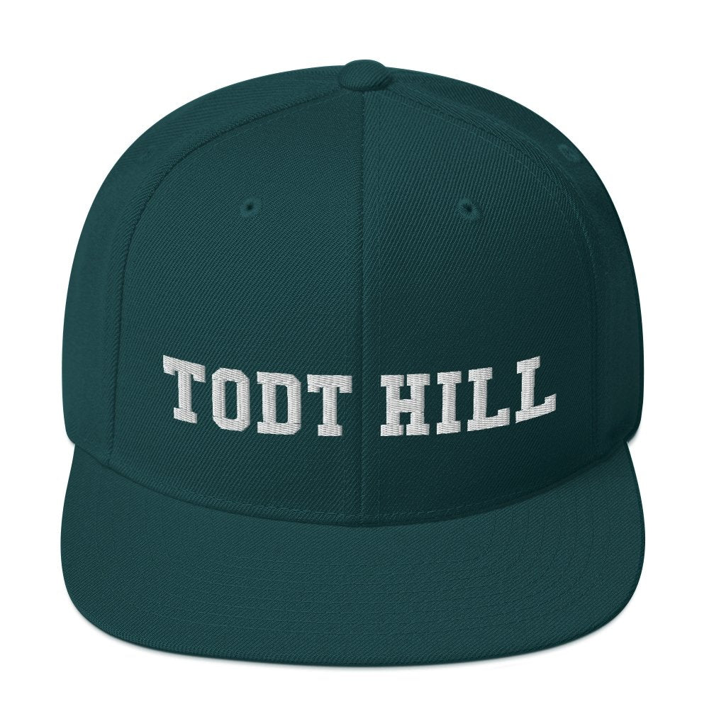 Todt Hill Snapback Hat - Vivant Garde