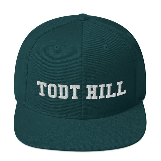 Todt Hill Snapback Hat - Vivant Garde