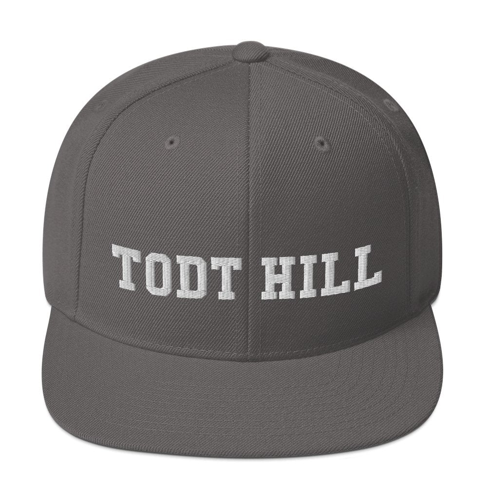 Todt Hill Snapback Hat - Vivant Garde