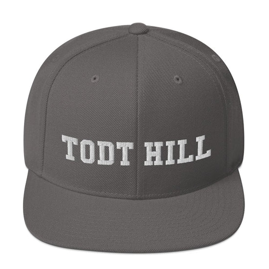 Todt Hill Snapback Hat - Vivant Garde