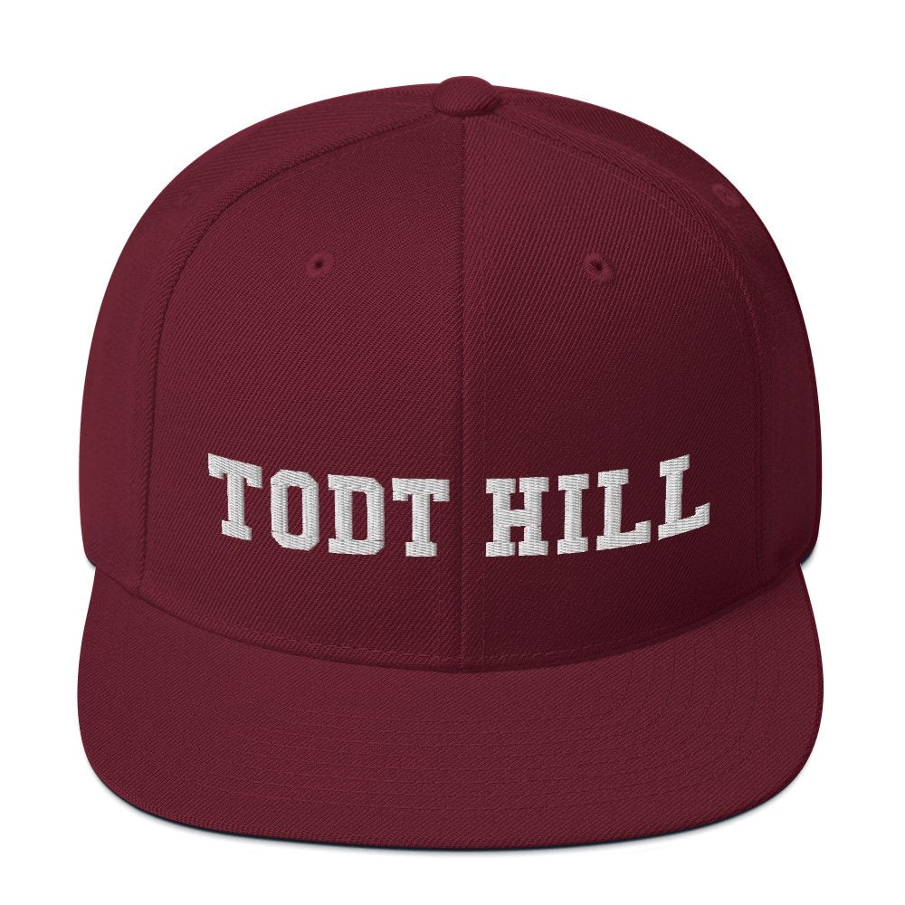 Todt Hill Snapback Hat - Vivant Garde