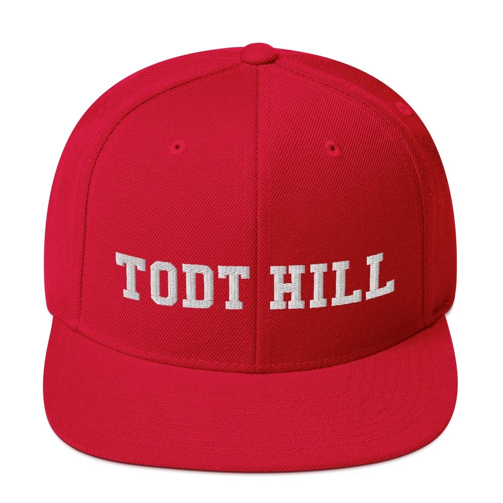 Todt Hill Snapback Hat - Vivant Garde