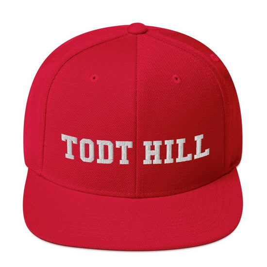 Todt Hill Snapback Hat - Vivant Garde