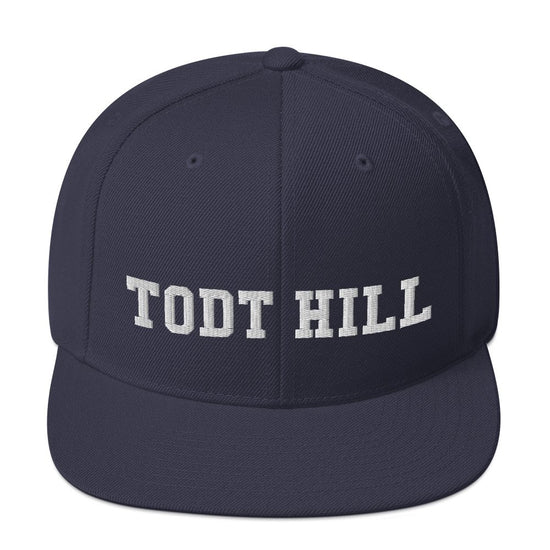 Todt Hill Snapback Hat - Vivant Garde