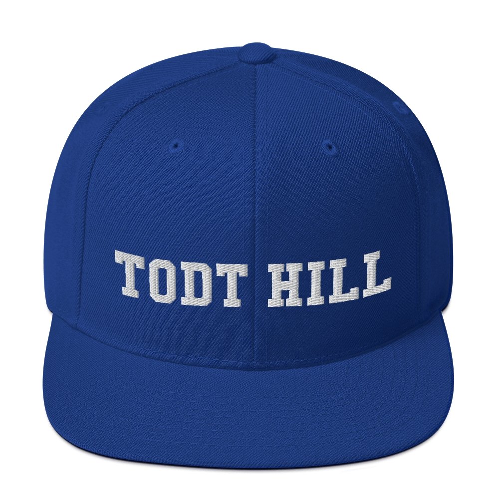 Todt Hill Snapback Hat - Vivant Garde