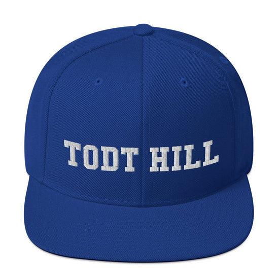 Todt Hill Snapback Hat - Vivant Garde